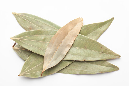 Macro close-up of Organic Indian bay leaf (Cinnamomum tamala)  tezpatta  on white background. Pile of Indian Aromatic Spice. Top view