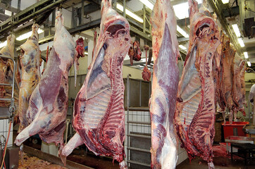 Abattoir, carcasse de viande sur une chaine d'abattage