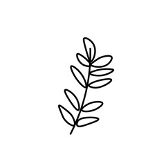 Vector minimalist plant eucalyptus leaf with a black line.One autumn simple hand drawn illustration on white isolated background in doodle style.Design for packaging,social media,posters,postcards.