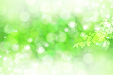 Obraz premium 新緑と光り輝く丸ボケ（アブストラクト） 