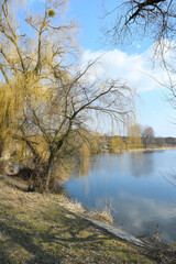 Fototapeta na wymiar A large lake with trees growing around it. Beautiful nature. Early spring