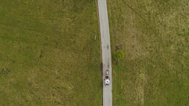 A horse harnessed pulls a white carriage along a country road. Aerial view from above