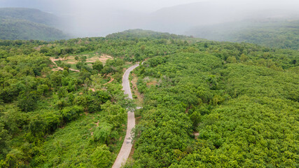 Aerial view from drone going through road on the mountain with green forest. View from the drone of the curve road. 