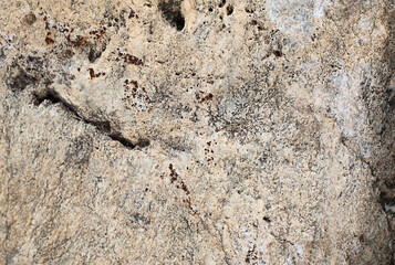 uneven texture of natural stone