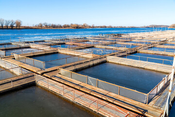 Fototapeta na wymiar Cages for fish farming in the natural river