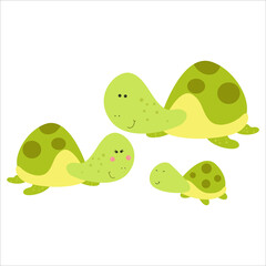 Cute Turtle Family Animal Flat Cartoon Character Vector Template Design Illustration