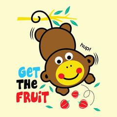 monkey get fruit cartoon vector illustration
