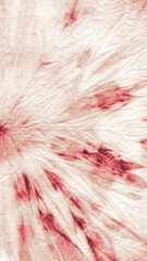 Obraz premium Offer Tie Dye Designs. Dyed Print Craft