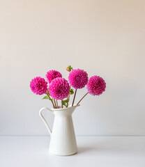 Bright pink dahlias in white jug on table against wall (selective focus)