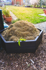 Gardening - composter with lawn cut and hay