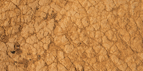 Texture of the dry cracked clay ground.