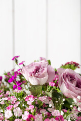 Colorful sweet william flowers, roses and lilac color on a white background.