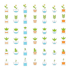 Flower pots icons. Set of colorful pots with flowers isolated on white background. Vector illustration