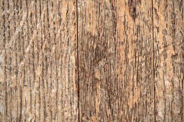 abstraction wood oak and texture with light brown wooden background