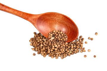 Dried cilantro spices in wooden spoon isolated on the white background