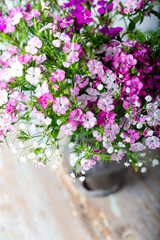 Fresh sweet william flowers in tones of pink on a wooden table in a vase.