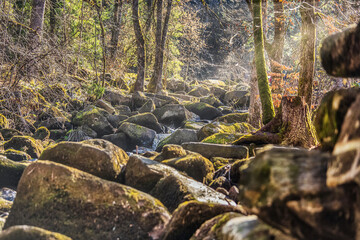 A brook in the bavarian forest. Hiking at Saussbachklamm, Waldkirchen, bavarian forest