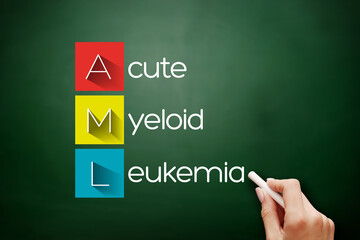 AML - Acute Myeloid Leukemia acronym, medical concept background on blackboard