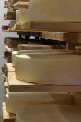Fototapeta na wymiar close up of cheese in shop