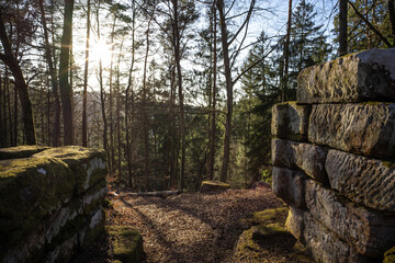 Heidelsburg (römische Bergfestung 2. - 4. Jh n. Chr.)