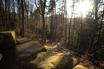 Heidelsburg (römische Bergfestung 2. - 4. Jh n. Chr.)