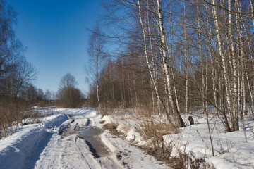 Country road in early spring