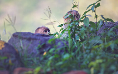 A little monkey looks up from behind the rock
