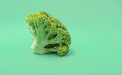 Green broccoli on a green background