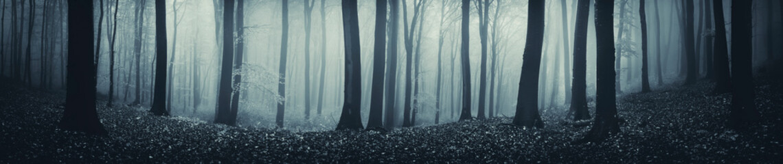 dark fantasy forest panorama, high resolution