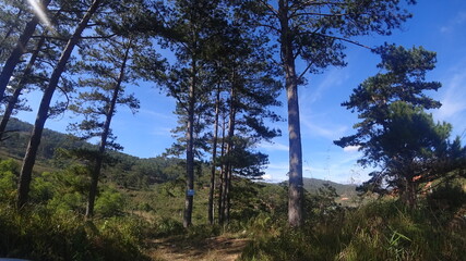 Beautiful landscapes and nature in Vietnam