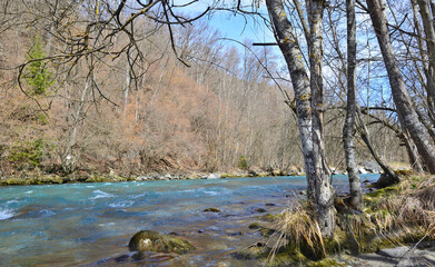 Obraz na płótnie Canvas view on beautiful blue alpine river flowing between forest bank in spring.