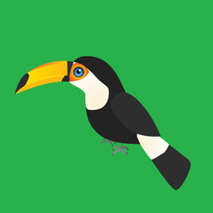 
An illustration of a toco toucan. The single bird is placed on a green background.