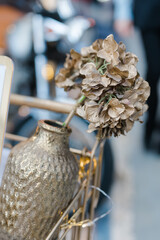 golden hydrangea flower in a vase