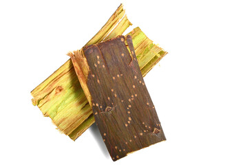 Prunus Padus Tree Bark. Also known as Bird Cherry, Hackberry, Hagberry, or Mayday Tree. Medicinal Raw Material. Isolated on White.