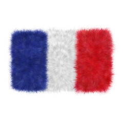 Bandiera francese  pelliccia