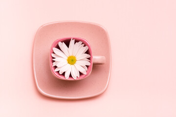 Pink concept. Empty square coffee cup with flower on saucer on pink background. Top view