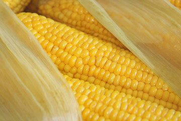 fresh boiled corn macro photo
