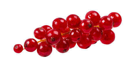Red currant  isolated on white background with clipping path