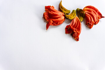 beautiful orange-yellow african tulip flower blooming 