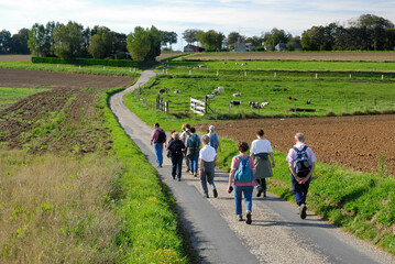 Fototapeta premium Groupe de randonneurs sur une petite route de campagne