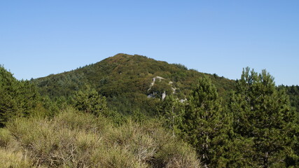 Vista dal sentiero a Poggio San Romualdo nelle Marche