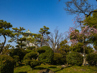 【大阪】日本最大級の入場者数を誇る大阪城
