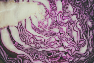 Obraz premium A slice of red raw cabbage. Abstract vegetable background
