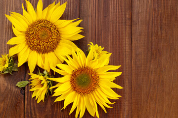 Autumn background with sunflowers on wooden board