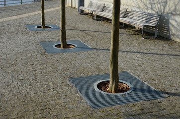 seafront with plane trees growing out of the lattice in the pavement. a beige concrete staircase...