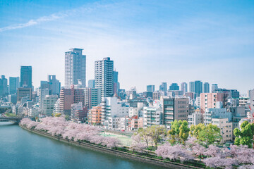 Naklejka premium 春の大阪の街並み（大川の桜）