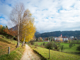 Naklejka premium autumn in the village