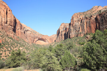 Fototapeta premium Zion National Park in Utah, USA