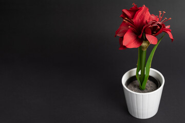 red tulip pot of cloth