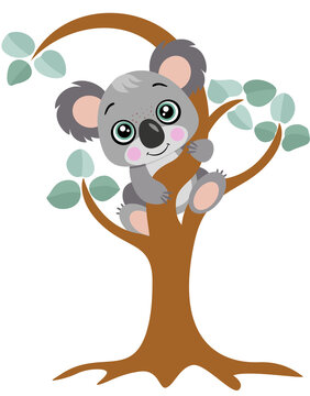 recommend clip art: Cute koala hanging on an eucalyptus tree
                    